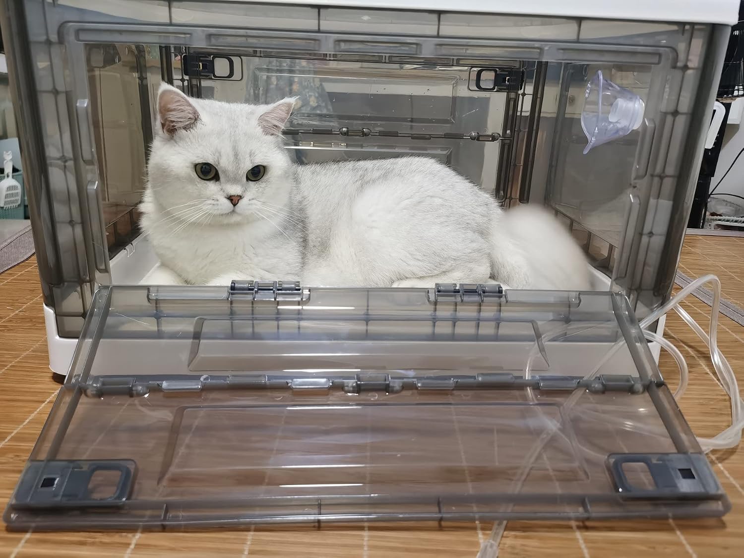 Nebulization Box,Cat Nebulizer Box Nebulizer for Dogs,Kitten Incubator,Heating Unit not Included, Puppy Incubator with Nebulization (55L)
