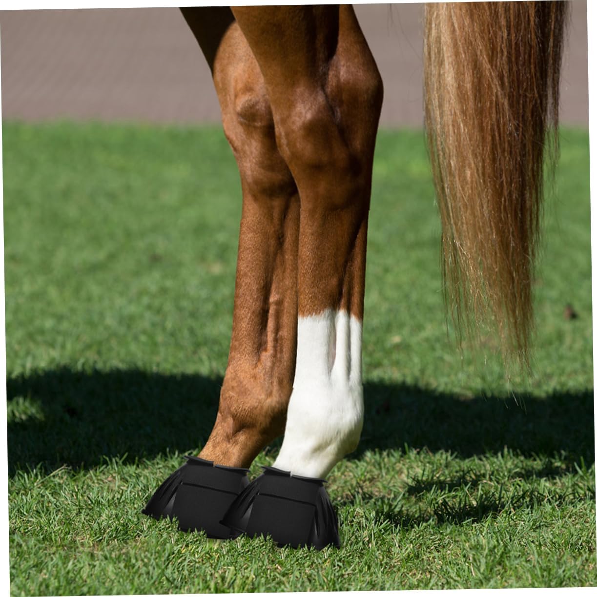 ibasenice 4pcs Portable Horse Leg Protectors Professional Rubber Tendon Boots for Convenient Support Compact Design to Reduce Scratching and Leg Fatigue for Riding and Training