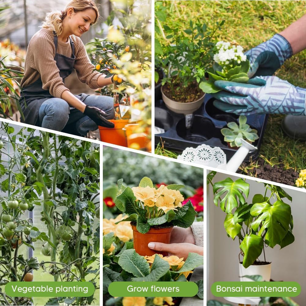 Clips de plantes pour soutien, piquets d'entraînement empilables pour Monstera et autres plantes, stabilisation durable de la tige pour une utilisation dans le jardin