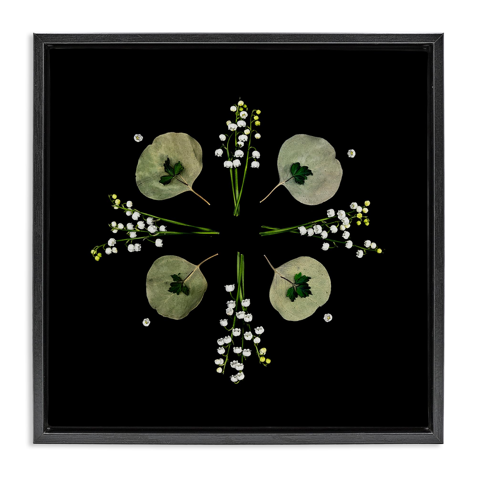 Stupell Industries Jet Black (Matte) 'Leaves & Wildflowers On Black'| Floating Frame Canvas Art