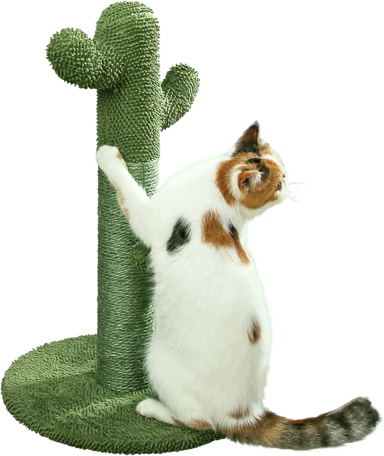 Cactus Cat Scratcher – Protect Your Furniture with Our Natural Sisal Cat Scratching Post with Teaser Ball Cat Toy