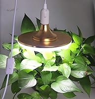 Vista 6 de Rextin Paquete de 2 cables de extensión de enchufe de luz LED E26/E27 de 5.9 pies con interruptor de encendido/apagado y enchufe de alimentación