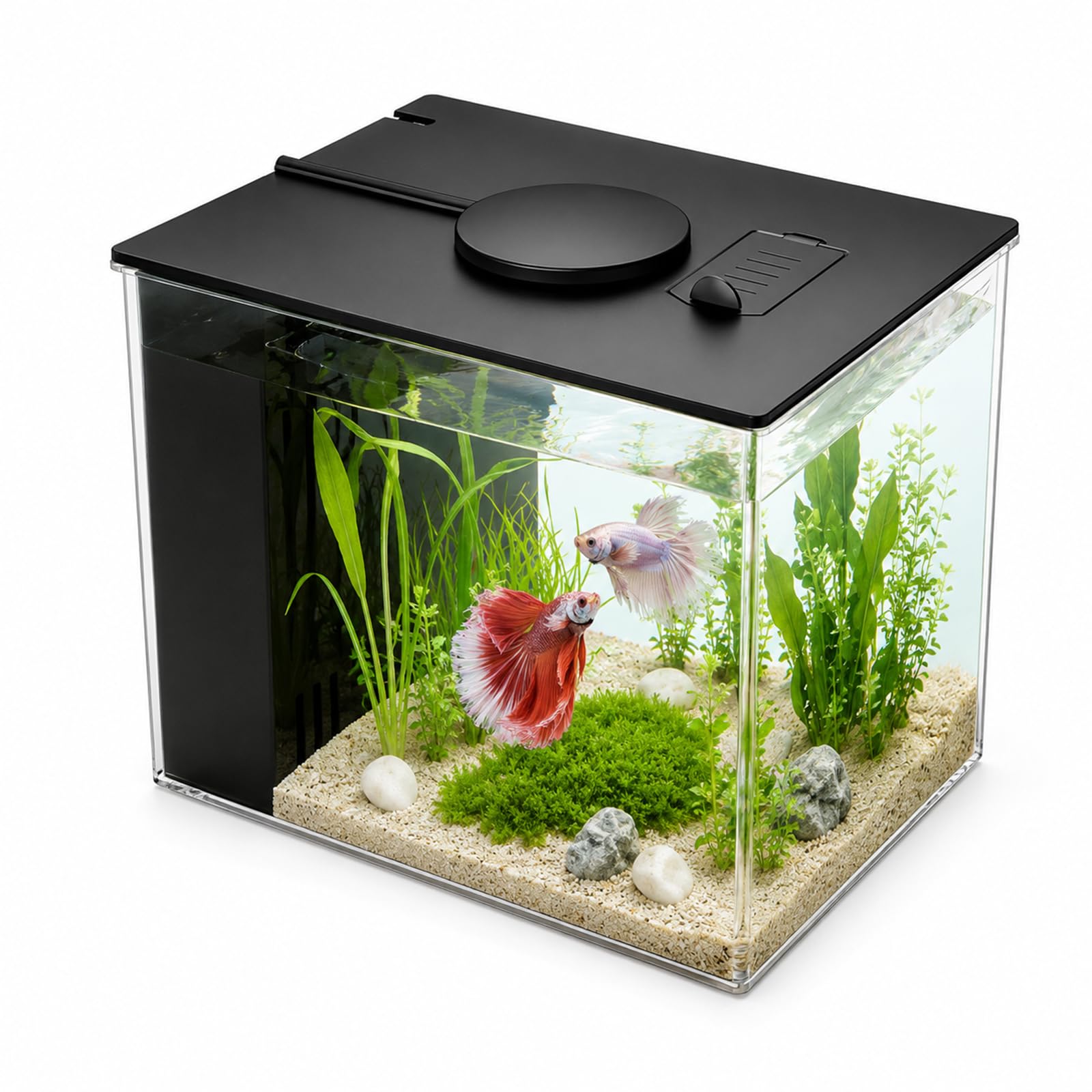 Piccolo acquario Betta da 3,7 l, set completo, mini acquario in acrilico con pompa filtro, illuminazione a LED, ideale per piccoli pesci, gamberetti e piante (nero)