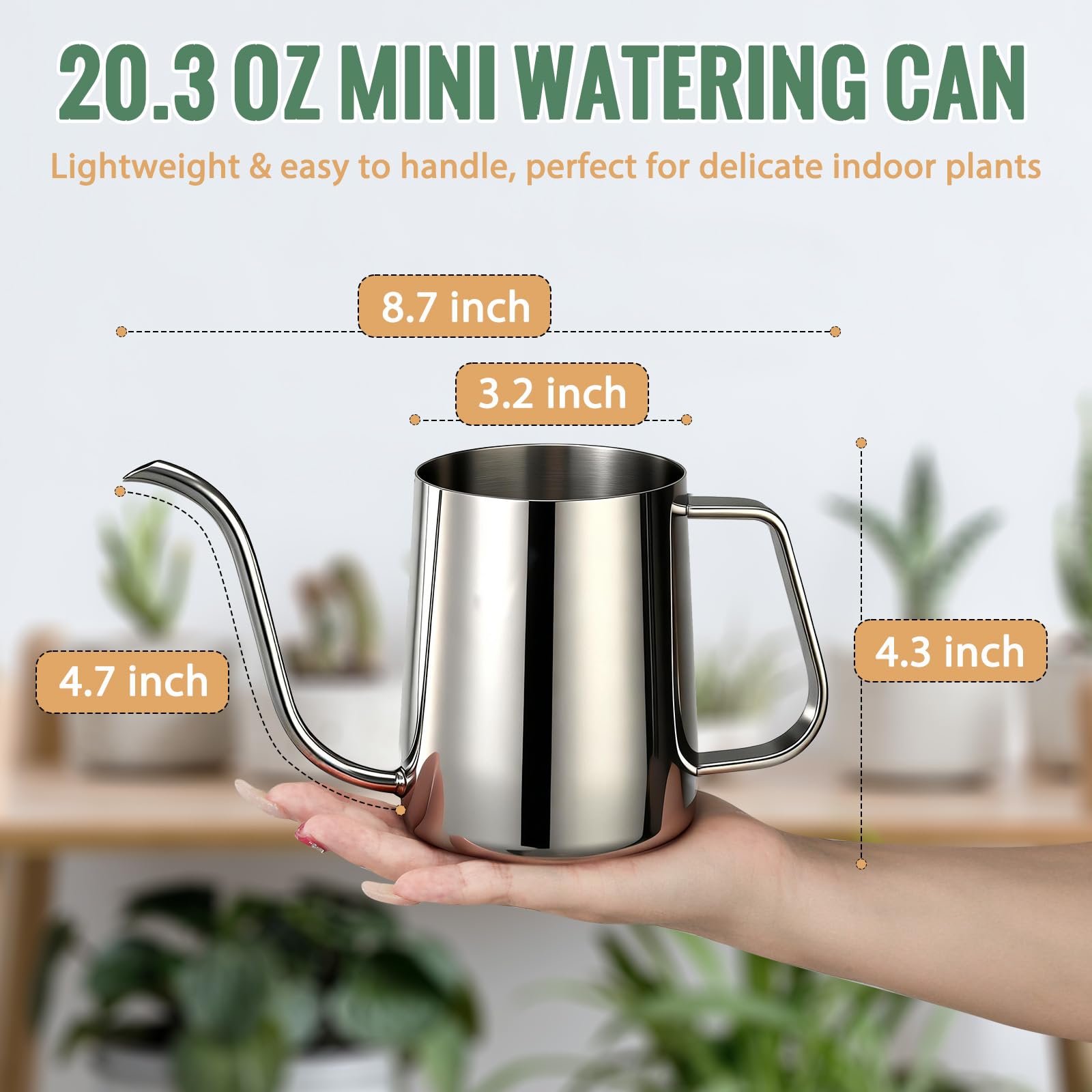 Small Watering Can for Indoor Plants - 20 oz Mini Indoor Watering Can with Long Spout Gooseneck Rust-Proof Stainless Steel Tiny Watering Kettle for Small Plants - 3