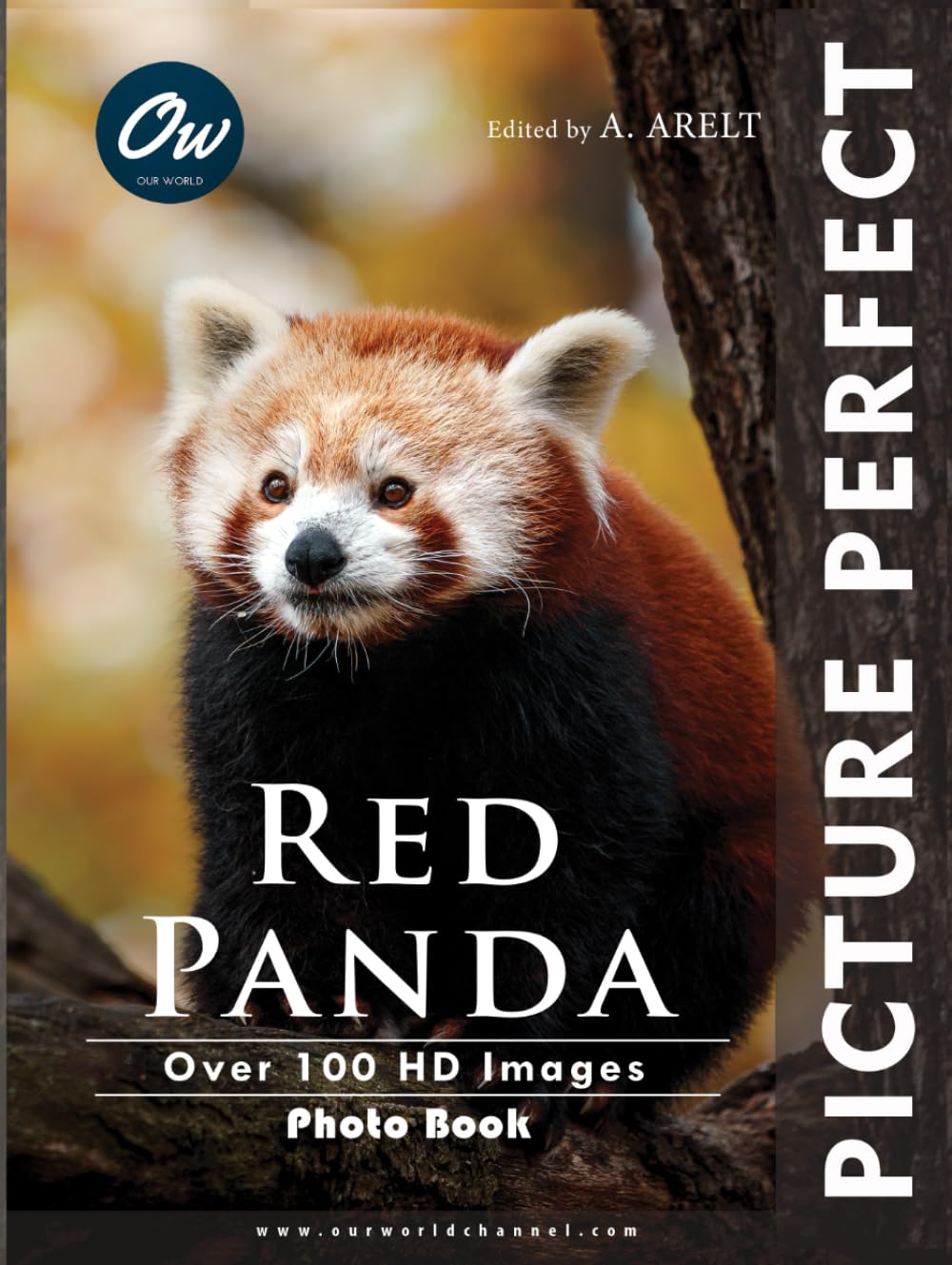 Red Panda: Picture Perfect Photo Book