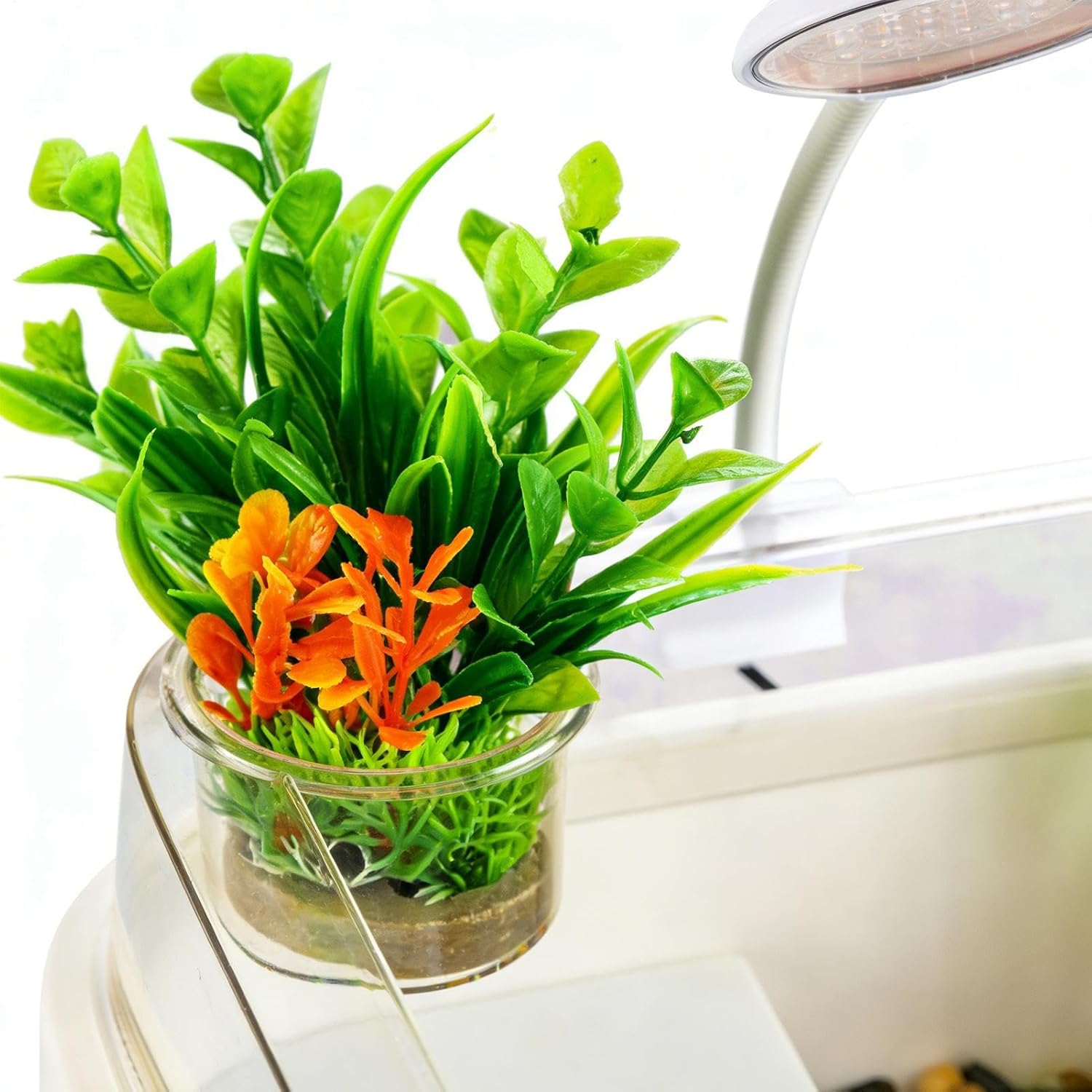 Turtle Tank - Escape Proof Terrarium, Aquatic Reptile Habitat, Built in Basking, Complete Lighting System Setup, Pet Supplies, Indoor Home Desktop Enclosure Glass Small