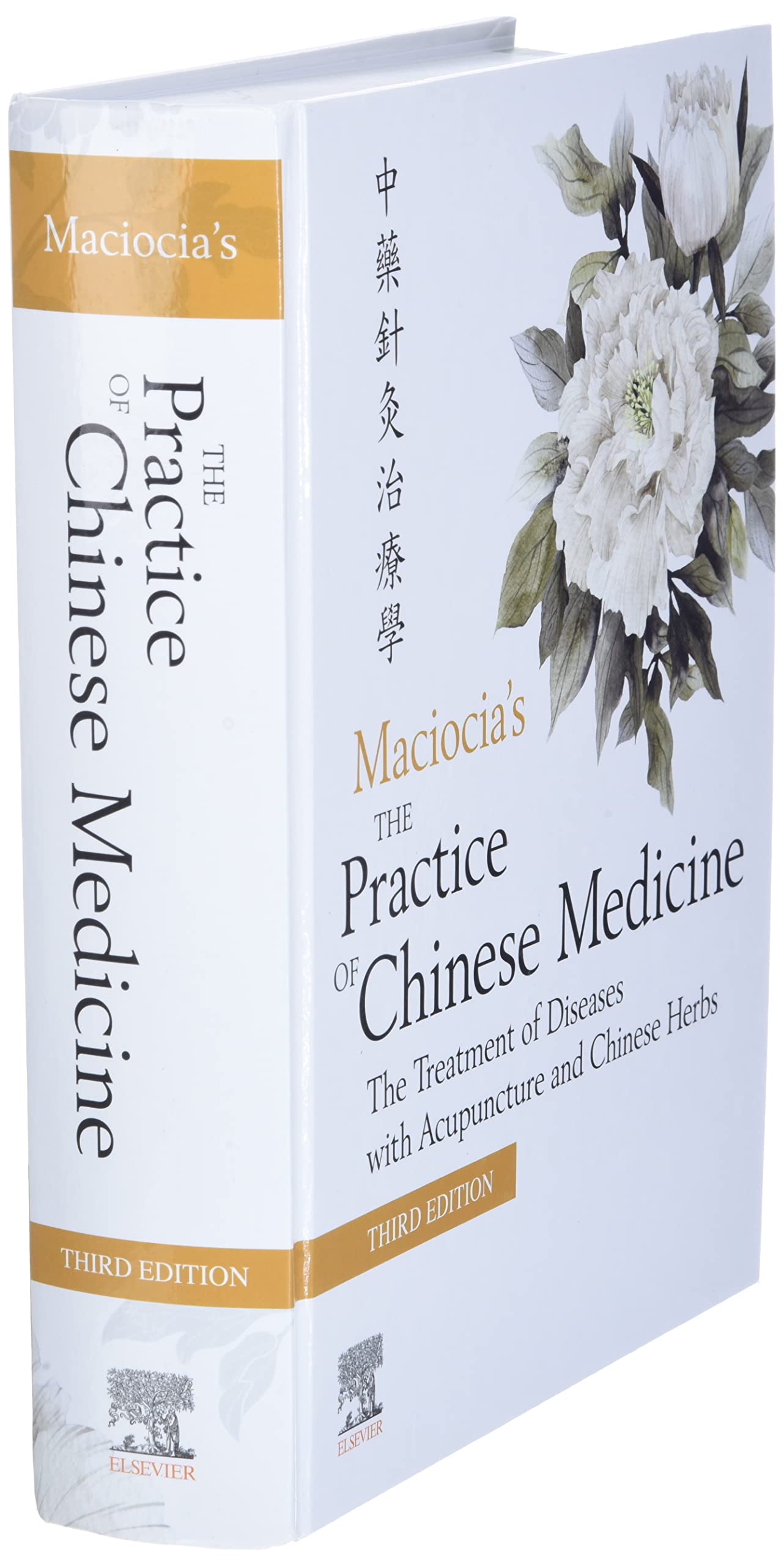 Maciocia's The Practice of Chinese Medicine: The Treatment of Diseases With Acupuncture and Chinese Herbs