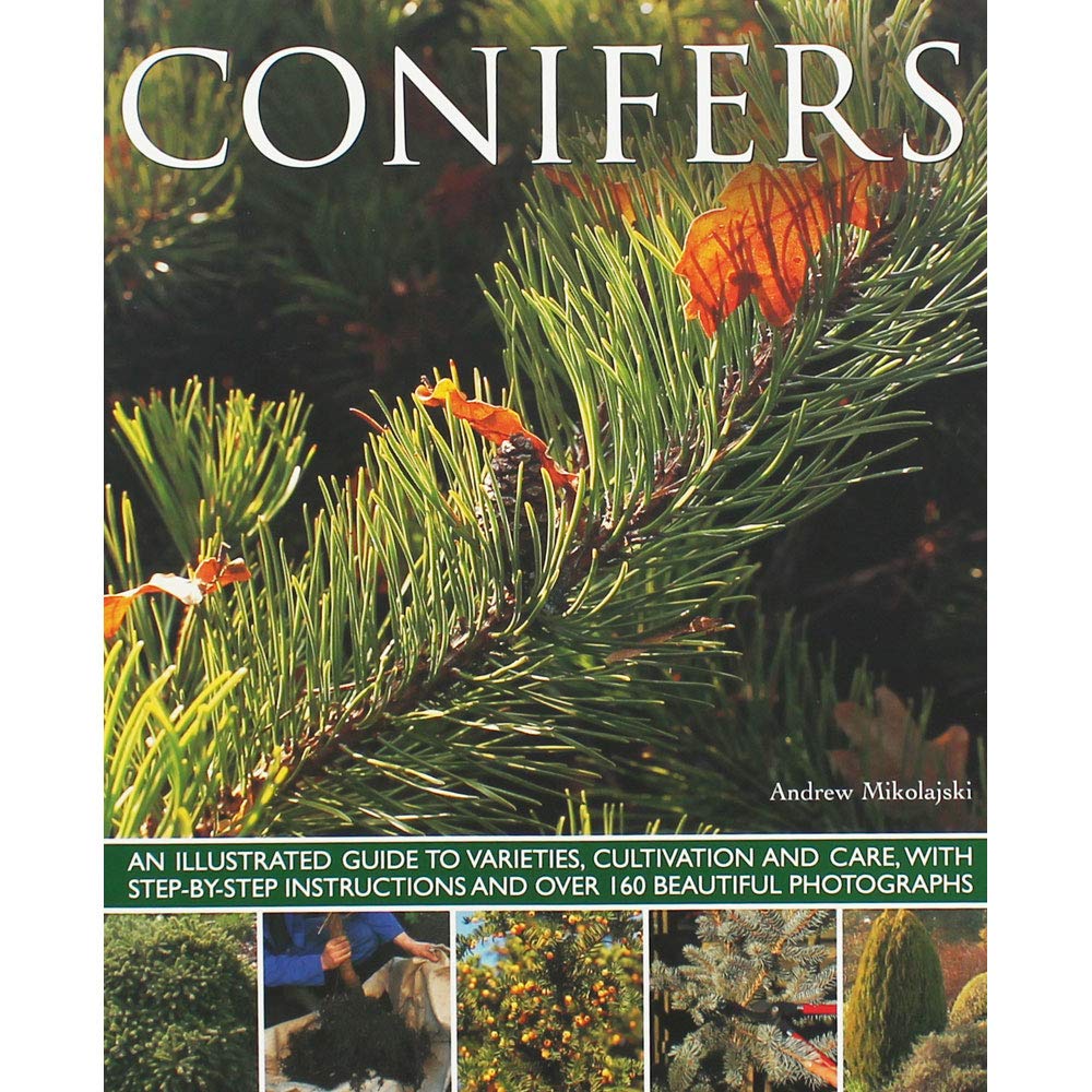 Conifers: An Illustrated Guide to Varieties, Cultivation... - Andrew Mikolajski