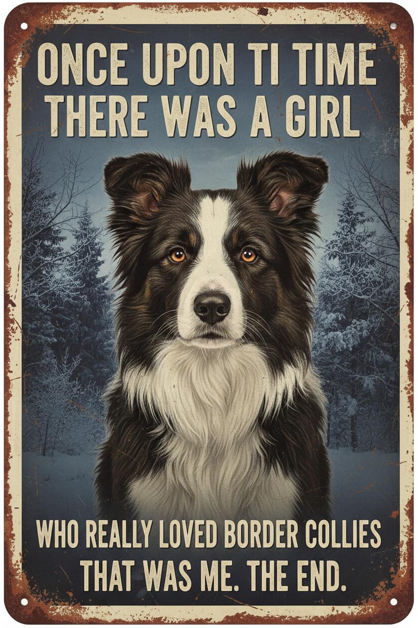 Wall Decor Retro Aluminum Sign A Girl Who Really Loved Border Collies Tin Sign Vintage Art Sign For Living Rooms Bedroom Bathroom Garage Ation 8x12Inch With Black Metal Framed Signs Plates Printed