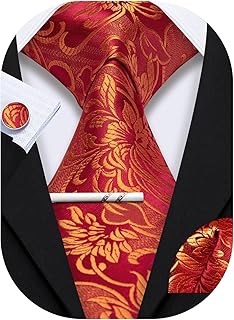 Mens Ties Set Wedding Paisley Neckties with Handkerchief Cufflinks Formal Business