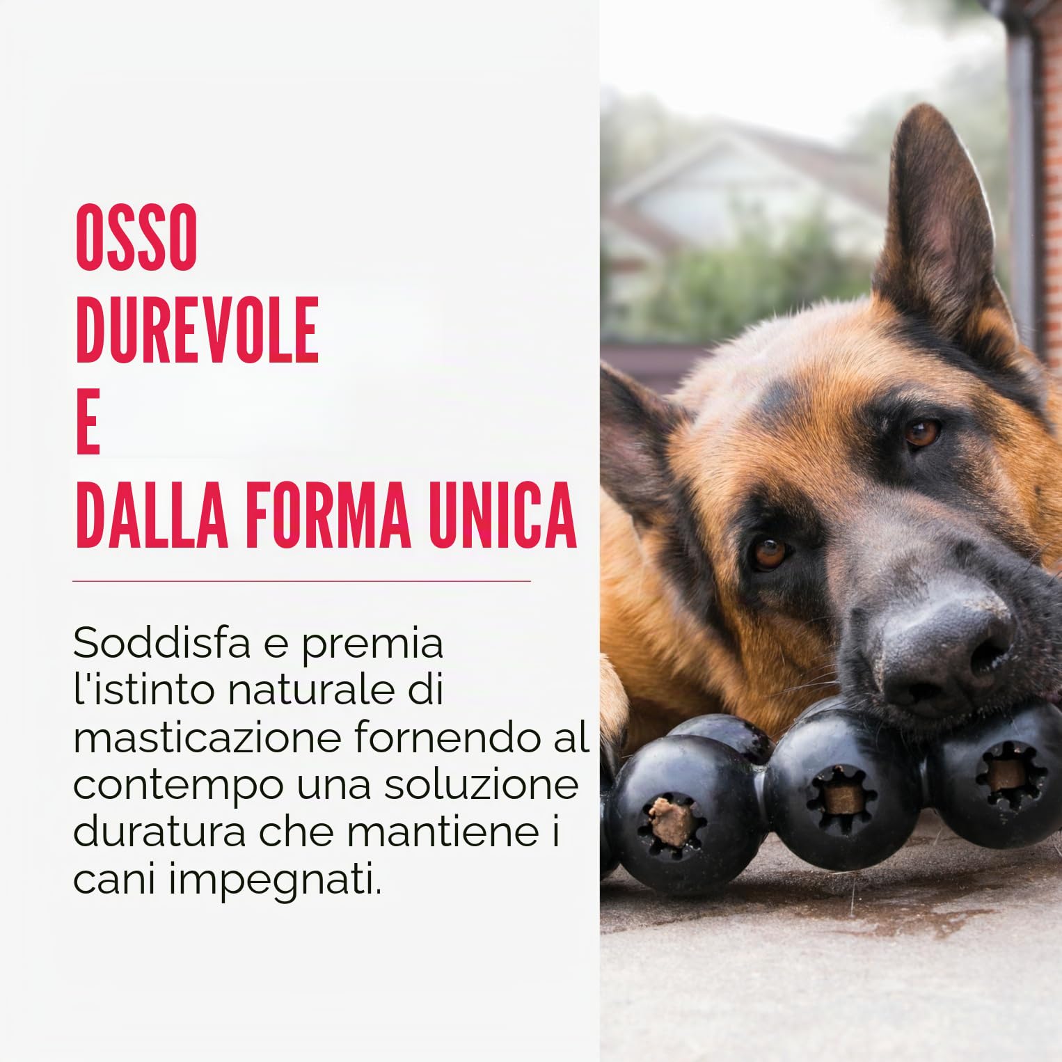 KONG Extreme Goodie Ribbon - Giocattolo Per Cani In Gomma Naturale Riempito - Per Cani Di Taglia Grande