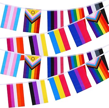 Pride Bunting Flags, Progress Pride Banner with 30 Flags, Rectangle Gay LGBTQ Rainbow Pride Flag, 10 Meter Colorful Stripes Bunting Banner for Home Garden Balcony Bar Parade Holiday Decoration