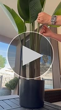 Lifelike Bird Of Paradise Artificial Plant 5ft Faux Banana Leaf Tree With Black Tall Planter For Home Decor - Perfect Indoor Silk Floor Plant For Living Room, Office, And Bedroom Ambiance