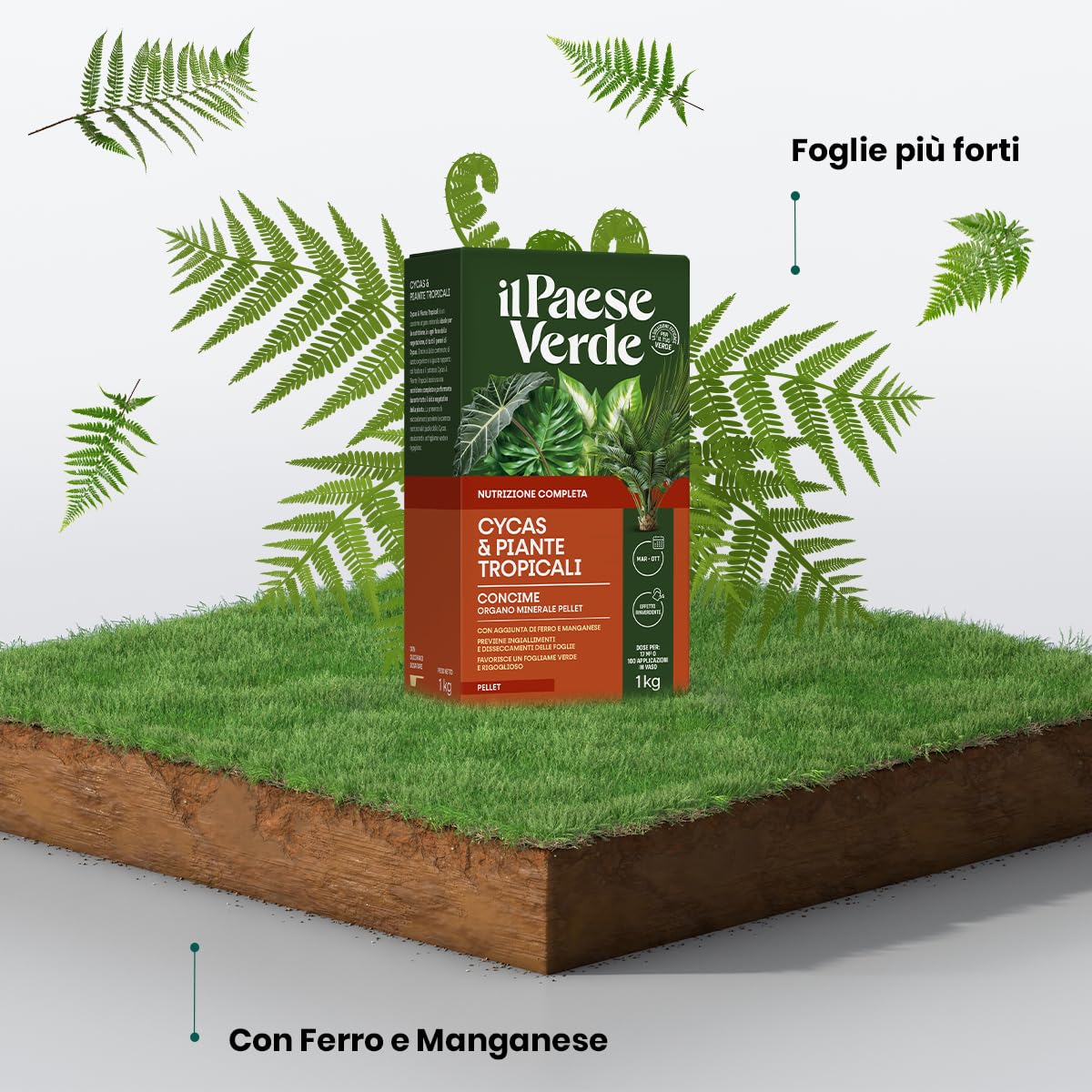 Il Paese Verde organico 1 kg Dnger fr Cycas und tropische Pflanzen - natrlicher  Dnger mit organischem Stickstoff, Phosphor und Kalium fr immer grne und  ppige Bltter : Amazon.de: Garten