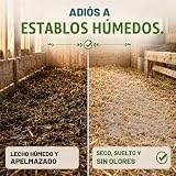 Ver la foto 3