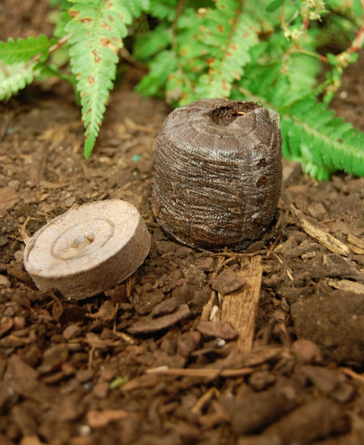 100 Count- Jiffy 30 MM Peat Soil Pellets Seeds Starting Plugs: Indoor Seed Starter- Start Planting Indoors for Transplanting to Garden or Planter Pot