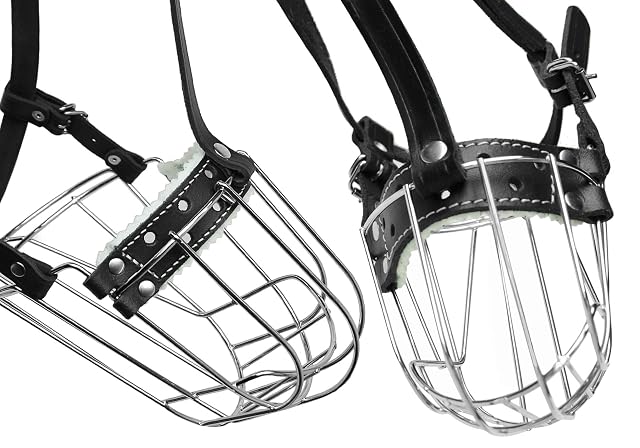 Foto 5 de 8 de Bozales de Metal Cromado para Perros, Correas de Cuero Ajustables (№5) La Circunferencia es de 29-32 cm