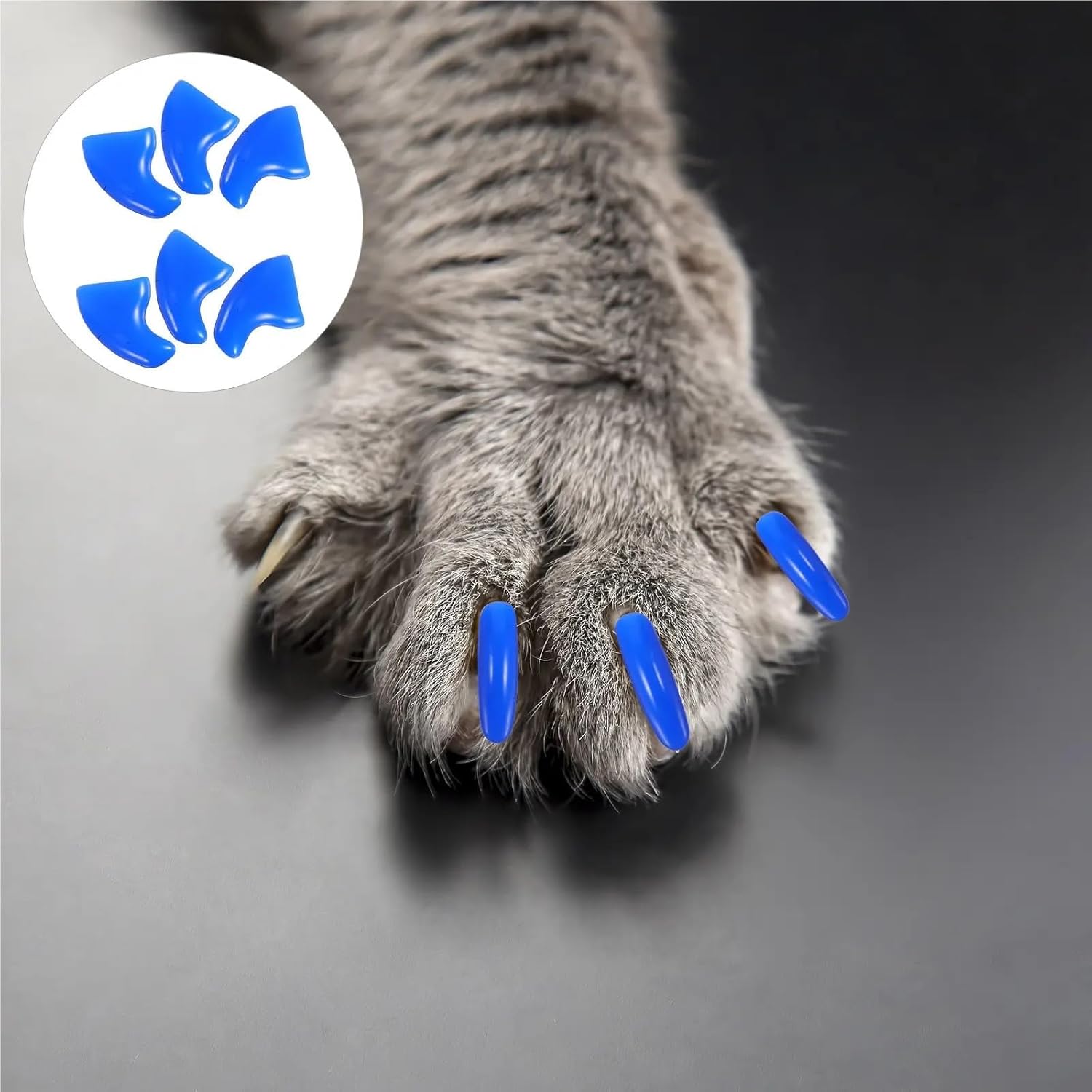 Cat Nail Caps 500Pcs Pet Nail Covers Cat Claw Caps Dog Paw Protectors Scratch Prevention Furniture Protection Guards