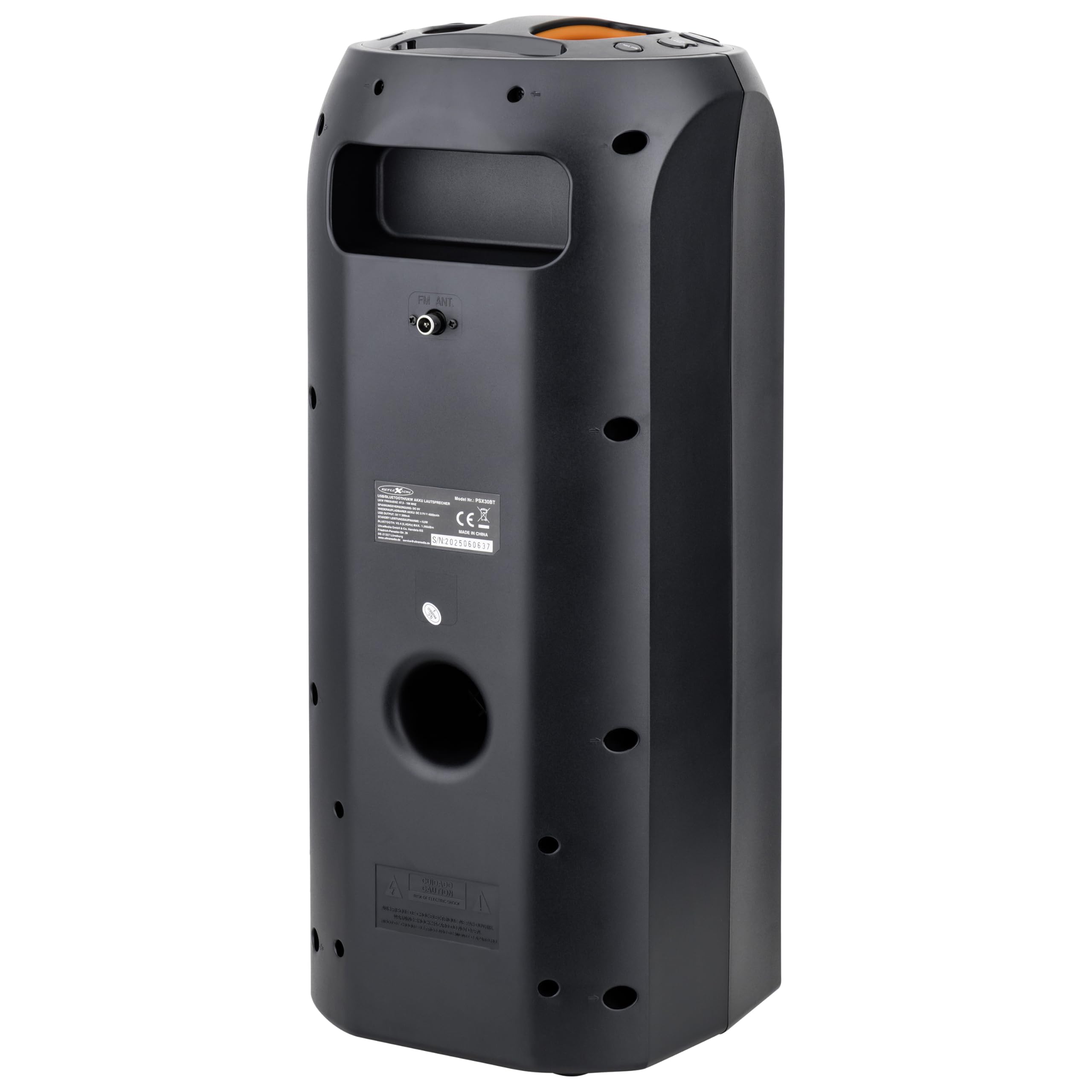 REFLEXION PSX30BT 240W Bluetooth Lautsprecher mit LED-Flammenlicht – Tragbarer TWS Speaker mit Mikrofon-Eingang, USB/AUX/FM-Radio – Leistungsstarker Sound für Party, Outdoor & Karaoke