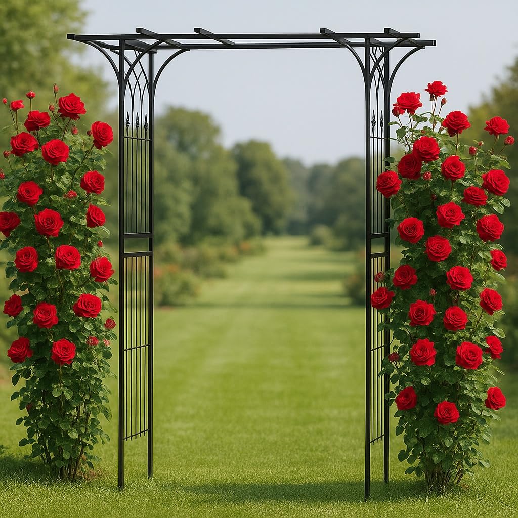 Wiltec Arco da giardino per rose e piante rampicanti 205x50x208cm acciaio nero