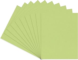 CountryArtHouse Pistachio Acid Free 16x20 Backing Board - Uncut Photo Mat Board - 1 Sheet