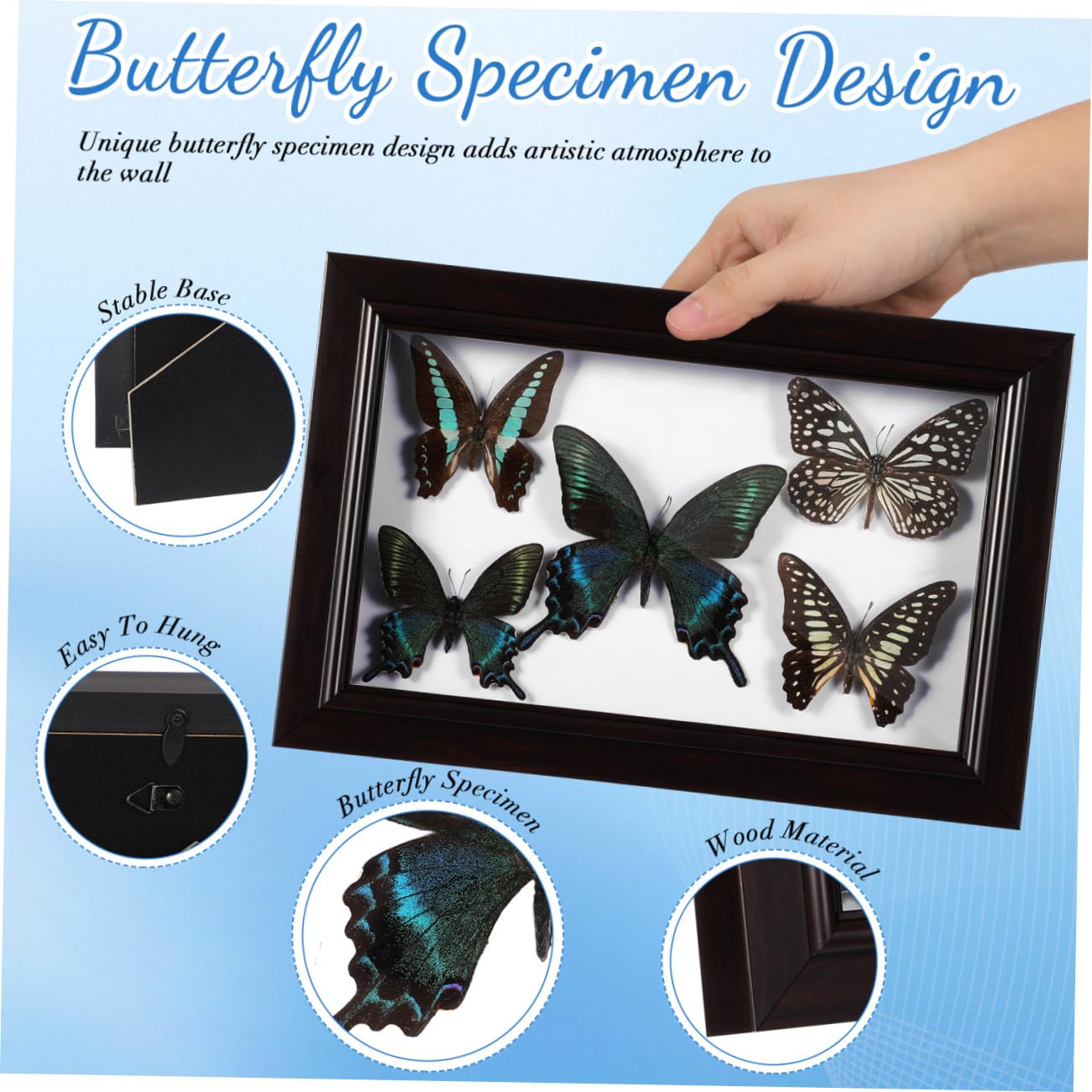 CHILDWEET Marco de Exhibición de Mariposas Diseño Artesanal, Madera Resistente y Tapa Transparente para Decoración de Hogar