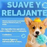 Ver la foto 4