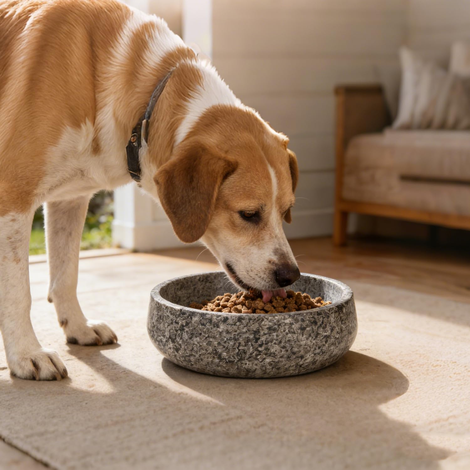 Ciotola per Cani in Granito, Granito, L | Ciotola Naturale Resistente per Animali Domestici, Ciotola Antiscivolo per Cibo e Acqua per Gatti, Ciotola in Pietra