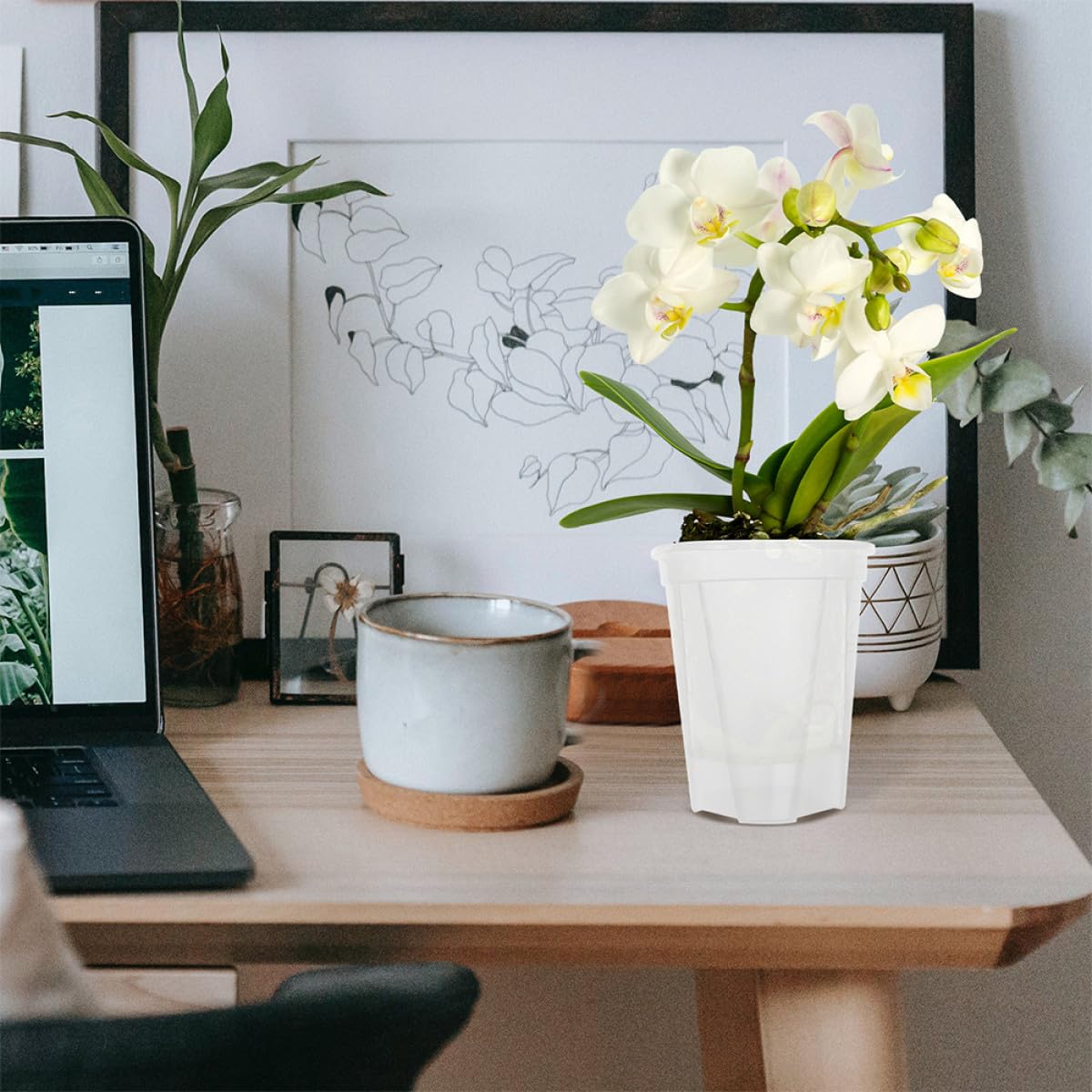 5 Stück Teiliges Selbstbewässerungs blumentopf Transparentem mit Integriertem Bewässerungssystem Geeignet für Orchideen und Zimmerpflanzen Automatische Wasserzufuhr für Einer