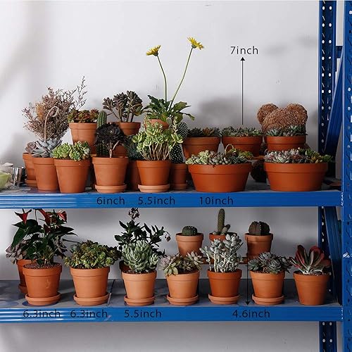 Miniatura 3 de Yishang Macetas de terracota poco profundas para suculentas, contenedores de cactus de 7 pulgadas, macetas de bonsái para jardín interior con