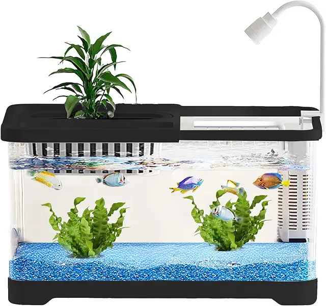 Kampfisk Akvarium: Martial Fish Tank Set for Desktop & Room Decor