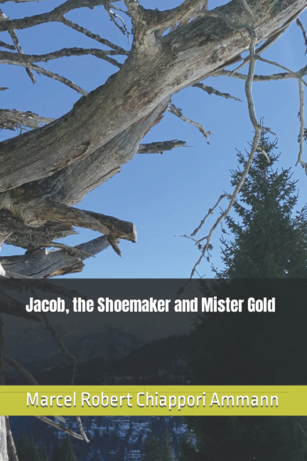 Jacob, the Shoemaker and Mister Gold