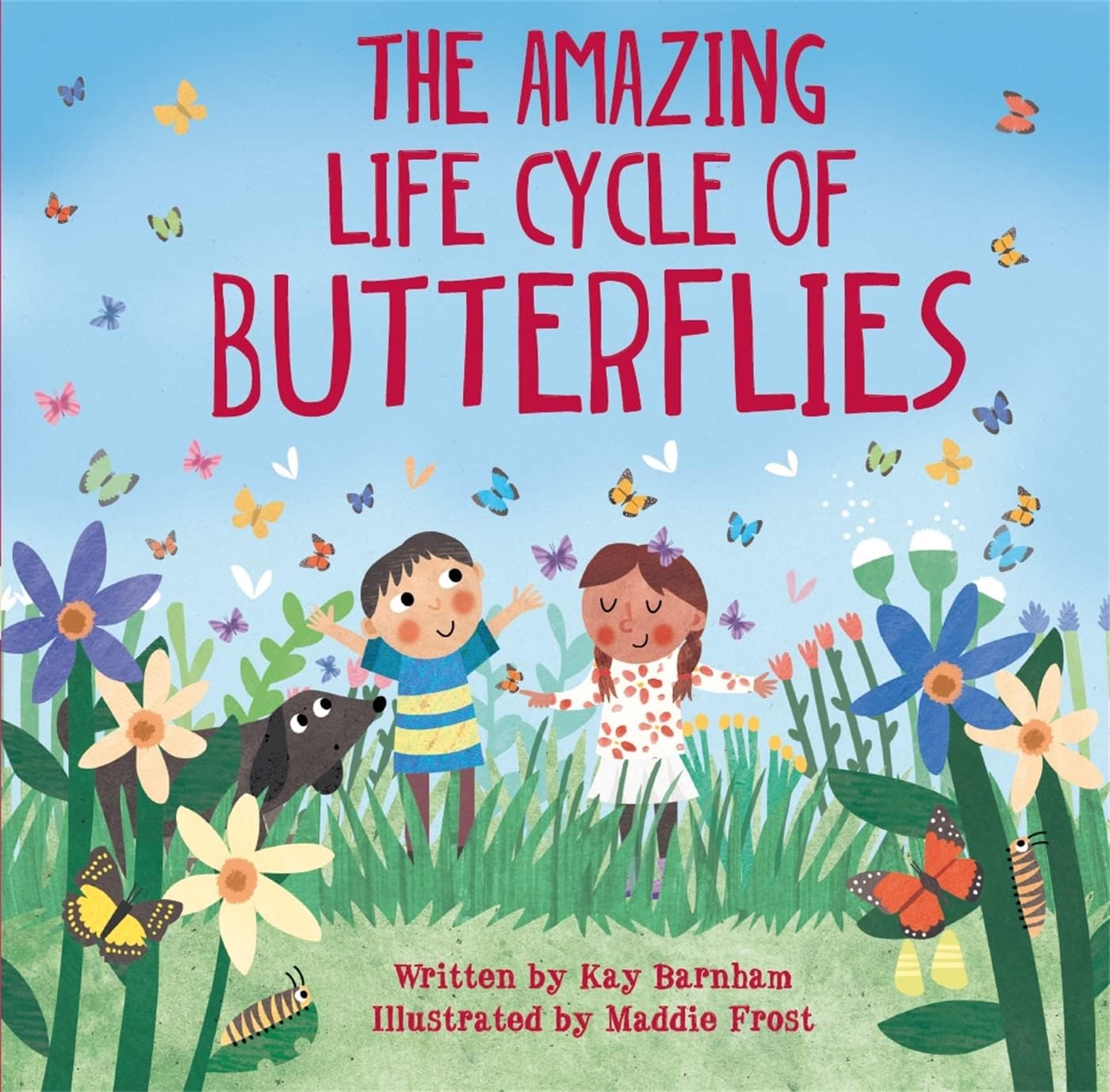 The Amazing Life Cycle of Butterflies (Look and Wonder)
