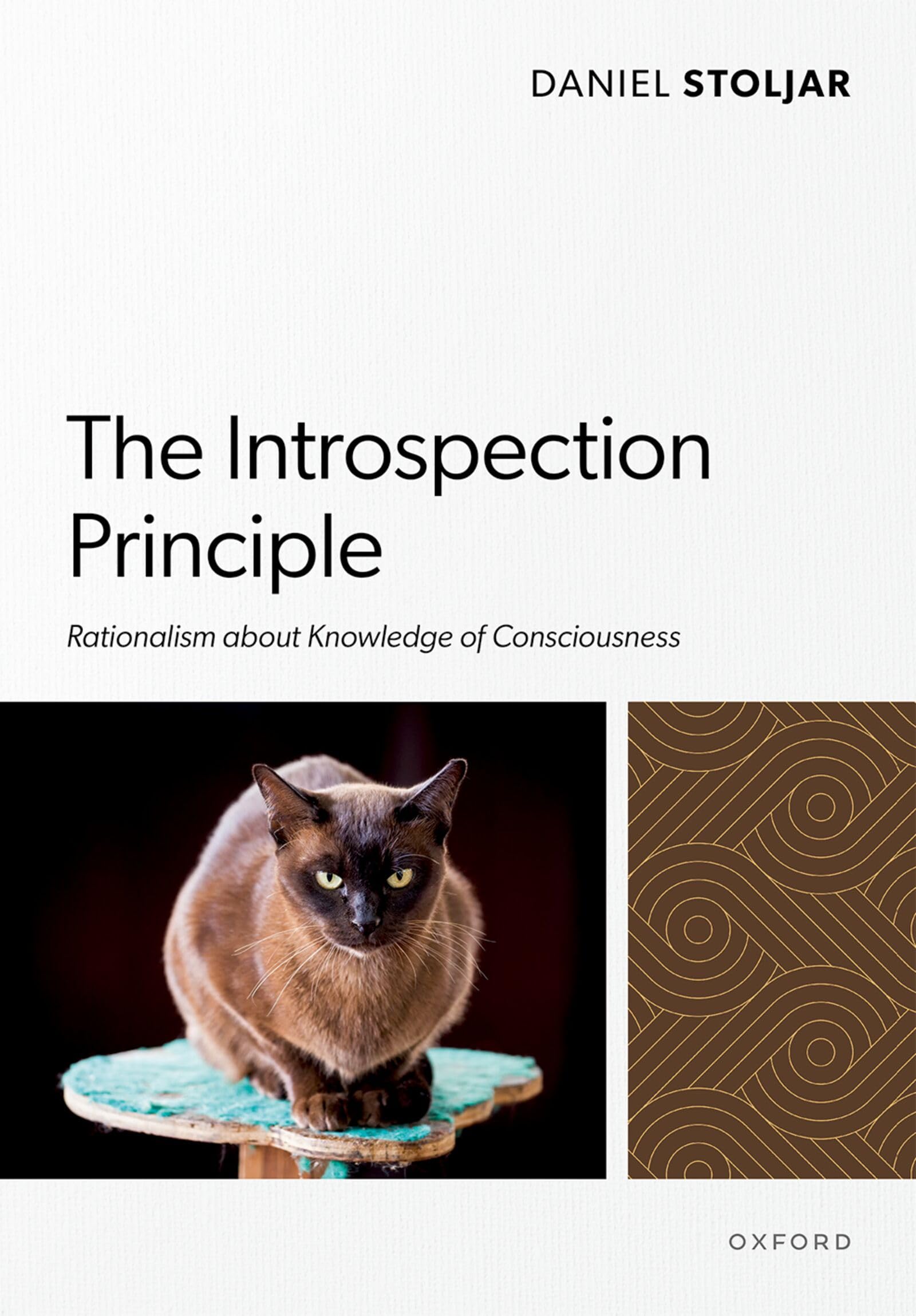 The Introspection Principle: Rationalism about Knowledge of Consciousness