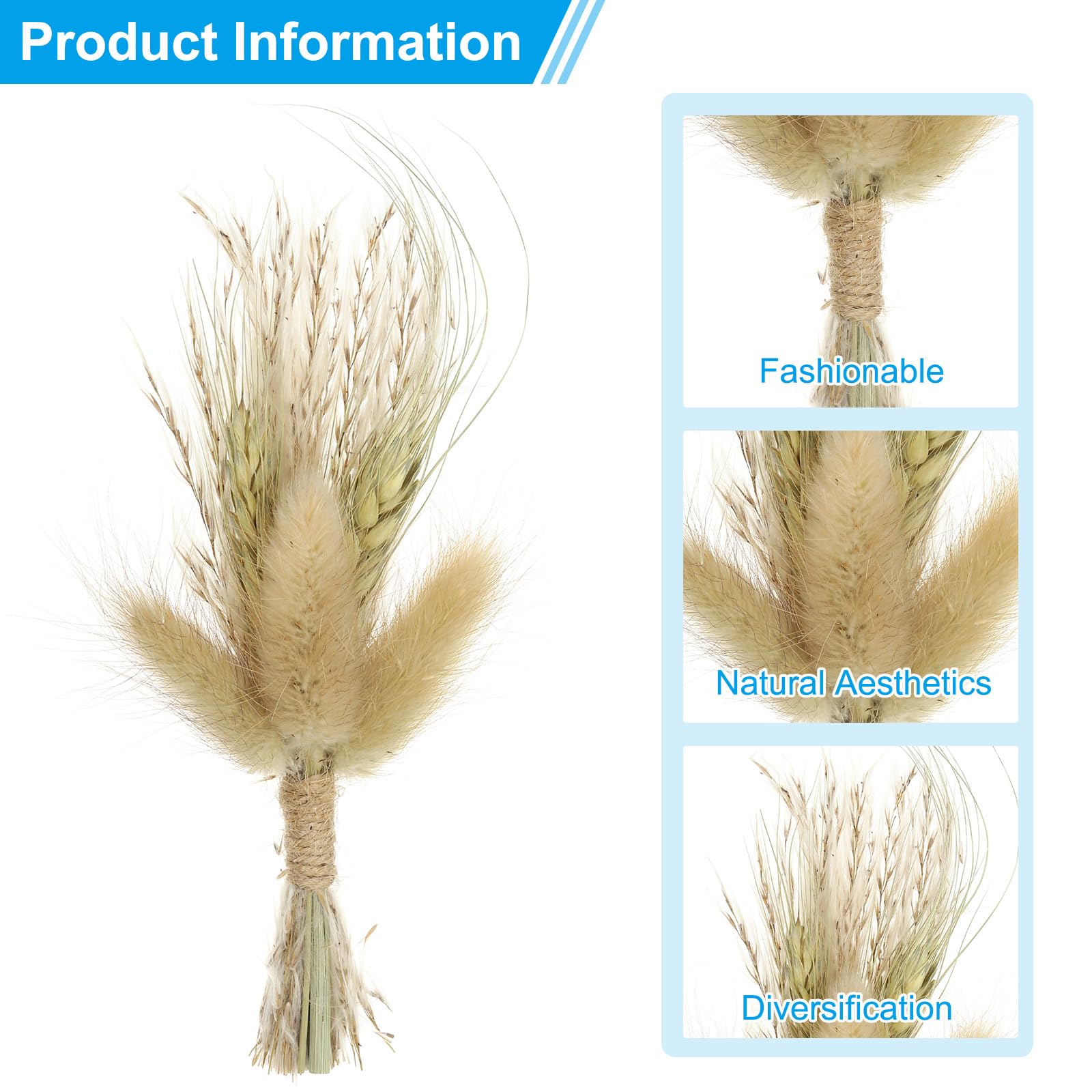 PATIKIL Mini Dried Flower Bouquet, 6 Pcs Pampas Grass Natural Wildflower with Stem Decor Baby's Breath Boho Floral Plant Flower for Crafts DIY Photo Props Gift Wedding Decor, Brown - Image 3