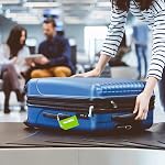 Luggage Tags, 6 Pack Silicone Suitcase Tags, Baggage Tags with Name ID Card and Stainless Steel Loops, Bright Color Luggage Tags for Suitcases Travel Bag, Green