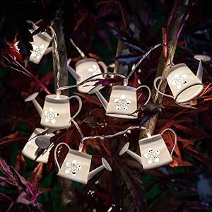 Bosmere V127R Haws Arrosoir D'intérieur En Plastique Rouge