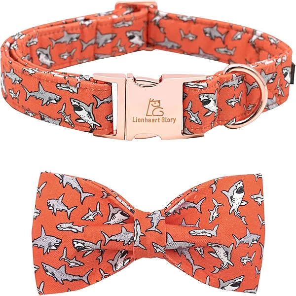 Lionheart Glory Shark Print Bow Dog Collar - Adjustable for Small Dogs