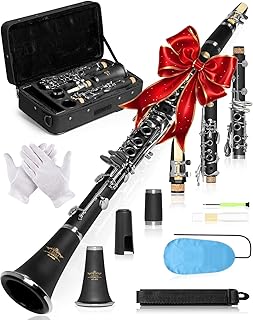 AKLOT B Flat Concert Clarinet: Precision Tone Hole Design for Stable Intonation, Durable Nickel-Plated Keys, Including Stylish Case, Barrel, Full Clarinet Cleaning Kit (Ember-MN)