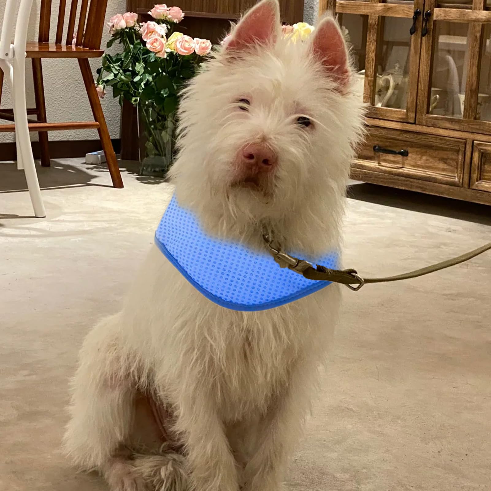 Dog Cooling Summer Bandana,Breathable Dog Cooling Collar,Instant Ice Pet Scarf,Adjustable Neck Wraps,Dogs Chill Out Vest,for Small Medium Large Dogs Cats Pet blue (M) - Image 3
