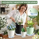 6 Pack Plant Pots with Clear Reservoirs 7/6.5/6/5.5/5/4 inch Plastic Flower Pots with 3 Planting Tools Self Watering Pots Visible Water Level Rope and Drainage Holes for Indoor Outdoor (White)