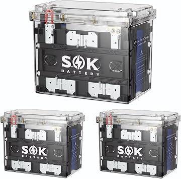 SOK 3-P 12V 100Ah LiFePO4 Lithium Battery Translucent IP65 Case & Group 24