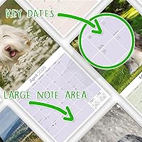 Vista 970 de Razas de Perros 2017