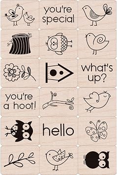Hero Arts LP134 Ink n Stamp Wood Sets, Birds and Branches