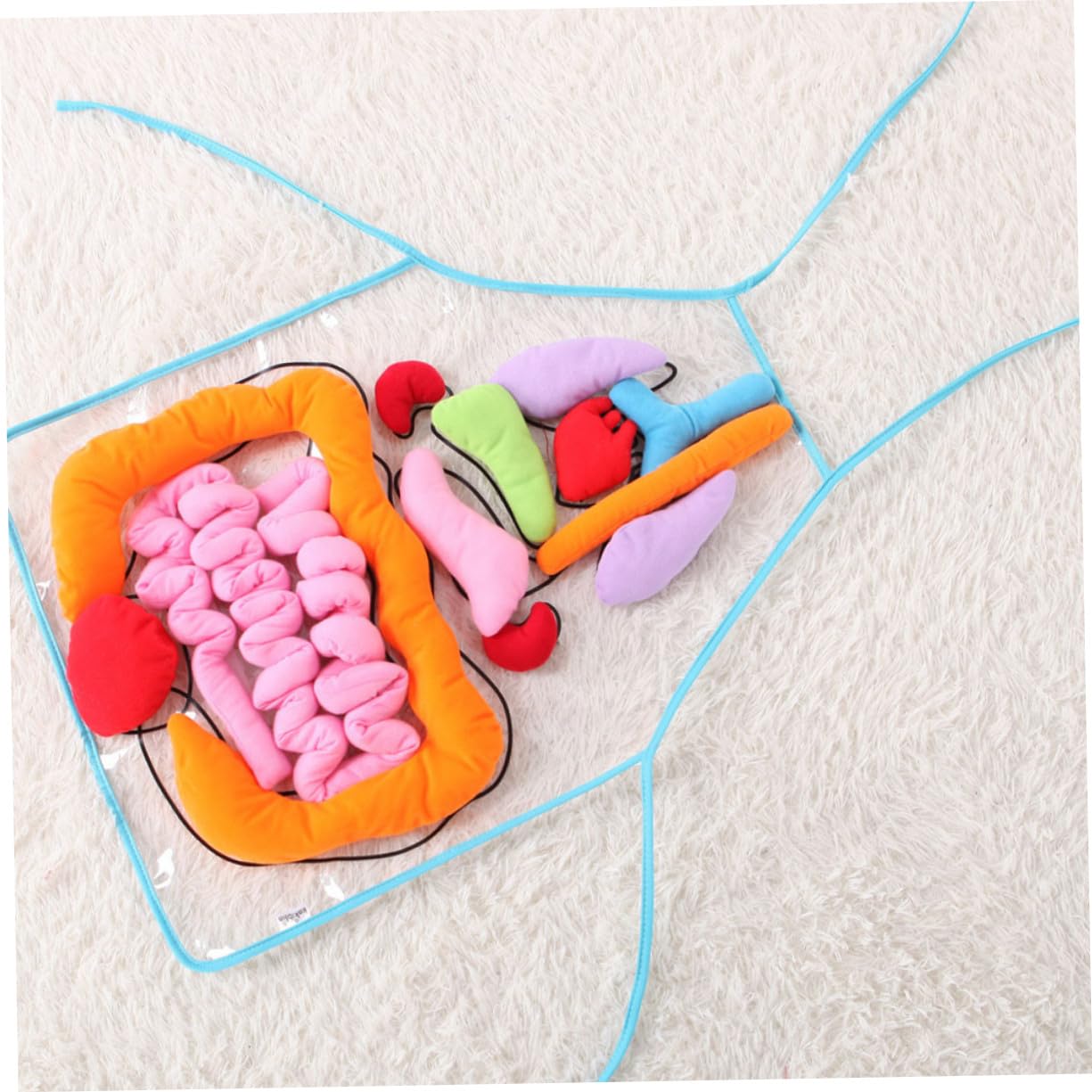 Toyvian Delantal Infantil 3D para Enseñanza de Anatomía Órganos del Cuerpo Humano, Material Didáctico de Plástico y Algodón PP para Educación Preescolar y Jardín de Infancia