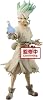 Banpresto Dr. Stone Figure of Stone World, Evolution Science, Ishikin Chenziku