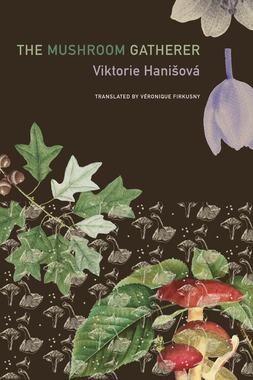 The Mushroom Gatherer by Viktorie Hanis?ova´ HARDBACK 9781803095691