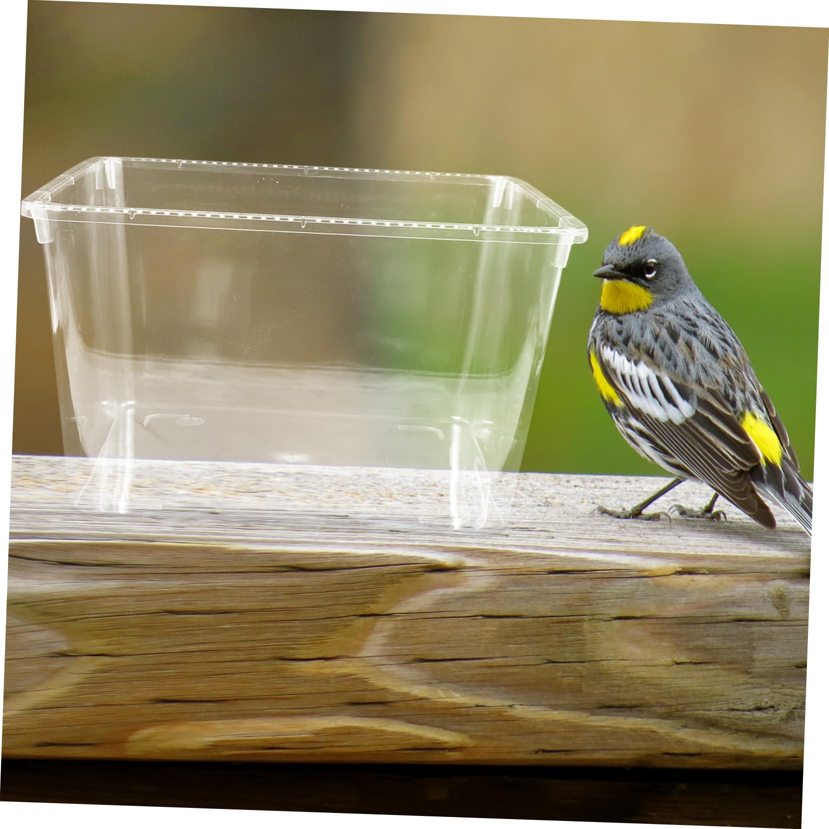 BESPORTBLE Birds Feeder for Cage Birdcage Splash Cage Cover Sturdy Washable Cages Supply