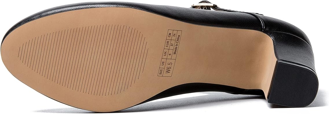 MAIERNISI JESSI Women's Mary Jane Pumps, 2.36 Inch Block Heel, Ankle Strap with Buckle, Closed Toe