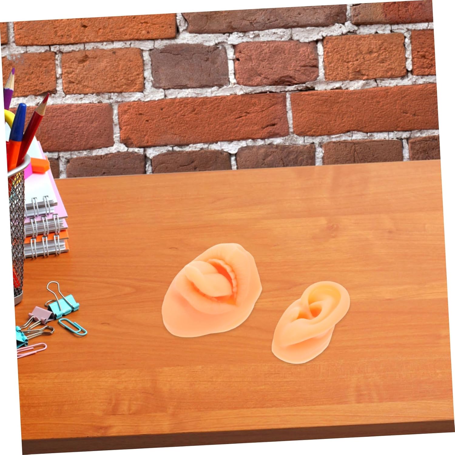 Simulated Perforation Model Kit Including Face Model Ear Nose Mouth Tongue for Piercing Training Display